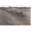 Railway Photo LNER A3 60094 Colorado near Kento...