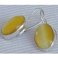 Strong yellow earrings