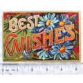 vintage postcard Best Wishes