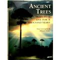 Ancient Trees - Trees That Live for a Thousand Years by Anna Lewington; Edward P