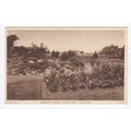 Rockery Beach House Park Worthing Postcard West...