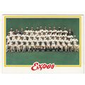 1978 Topps Montreal Expos team set 27 cards – D...