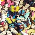 41 Wooden Butterfly Button Scrapbooking Decorat...