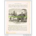 ELEPHANT PLOUGHING, CEYLON (SRI LANKA), Book Il...
