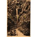 Shanklin Chine, IOW, 31750 Photochrom Postcard