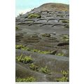 Lanzarote valle de la Geria Spain Postcard used...
