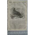1836 The Penny Magazine No. 282 Virgil's tomb, ...