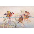 R156092 Birds and Blossoms. Tuck. Oilette