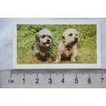 1961 Hornimans Tea Dogs No. 20 Dandie Dinmont T...