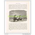 ARAB DHOWS ON THE RED SEA. SAUDI-ARABIA, Book I...