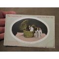 1910 fr Postcard - Natal / Birthday greetings -...