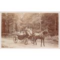 Carriage + children & ladies in the country som...