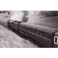 Railway Photo LNER A1 60136 Madge Wildfire Penm...
