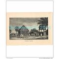 BUILDINGS IN TAMATAVE, MADAGASCAR, Book Illustr...