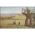 Cana of Galilee, Palestine, c.1910 - Photochrom...