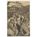 SWALLOW FALLS From Above c.1890 Betws Y Coed ea...