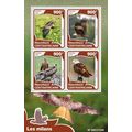 CENTRAL AFRICA 2016 SHEET MNH KITES BIRDS OF PR...