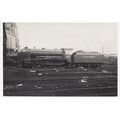 Southern Railway Steam Locomotive Engine 929 RP...