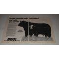 1983 American Angus Association Ad - Bulls You Need