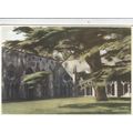 Salisbury Cathedral Cloisters Postcard unused VGC