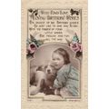 Dog Birthday Greetings Postcard used VGC
