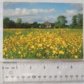 modern postcard Barham Green, Suffolk