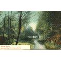 Bexley Woods, Kent, E Winter, Saxony, Postcard,...