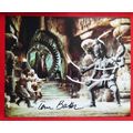 GOLDEN VOYAGE OF SINBAD,The (1973): signed phot...