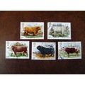 1984 GB British Cattle set 5 fine used stamps H...