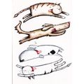 Garry Parsons Cats and Dogs Postcard unused VGC
