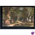 Sussex COWDRAY PARK Chestnut Avenue Postcard by...
