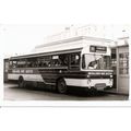 Black & White Photograph of Midland Red (South)...
