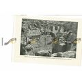 Babylon, Reliefs, Iraq, Book Illustration (Prin...