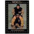 WCW CHAMPIONSHIP MARKETING ' STEINER BROTHERS '...