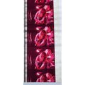 ALICE COOPER. Pk MTP - a011K . 1 STRIP OF 5 - 3...