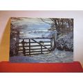 AN EXMOOR HILL FARM, DEVON unused postcard. Exm...
