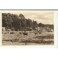 Gloucestershire BIBURY Street Postcard by Wyndham