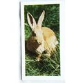 1960 Horniman's Tea card Pets No. 6 Rabbit