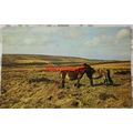 Exmoor, 2 Ponies, Somerset, Plastichrome Colour...