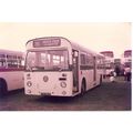 Colour Photograph of Blackpool Corporation Tran...