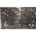 EC313 CHIPPING NORTON - THE AVENUE OVER NORTON ...