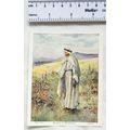 Vintage: God and His World Lesson 13 Beauty in ...