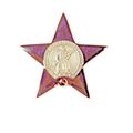 Order of The Red Star Soviet Russian WW2 Badge ...