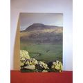 INGLEBOROUGH, YORKSHIRE DALES NATIONAL PARK unu...