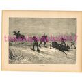 Elk Hunt, Victorian Natural History Book Illust...