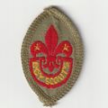 Scout Badge UK Pre 1967 - Scout Tenderfoot - He...