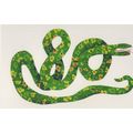 Snake Polar Bear What Do You Hear Eric Carle Bo...