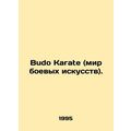 Budo Karate.