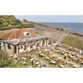 GB Postcard - Tea Chalets, Holywell, Eastbourne...