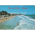 ZAYIX Postcard Florida Fun in the Sun Beach Sce...